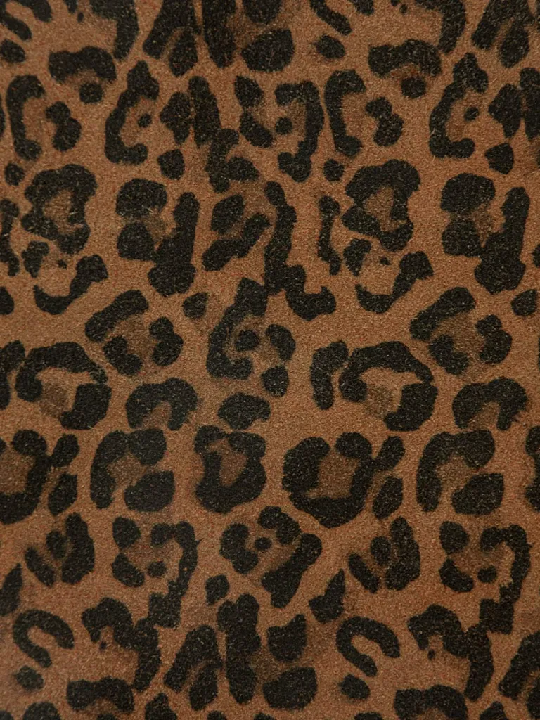 LEDANDY_LEOPARD_ZOOM_PAUL_MARIUS_5bb1.webp
