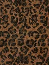LEDANDY_LEOPARD_ZOOM_PAUL_MARIUS_d779.webp