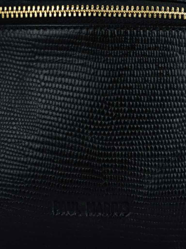 LABANANE_S_1960_L__ZARD_NOIR_DE_JAIS_ZOOM_PAUL_MARIUS_5786.webp