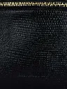 LABANANE_S_1960_L__ZARD_NOIR_DE_JAIS_ZOOM_PAUL_MARIUS_5786.webp