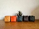 IMG_3183 (1).webp