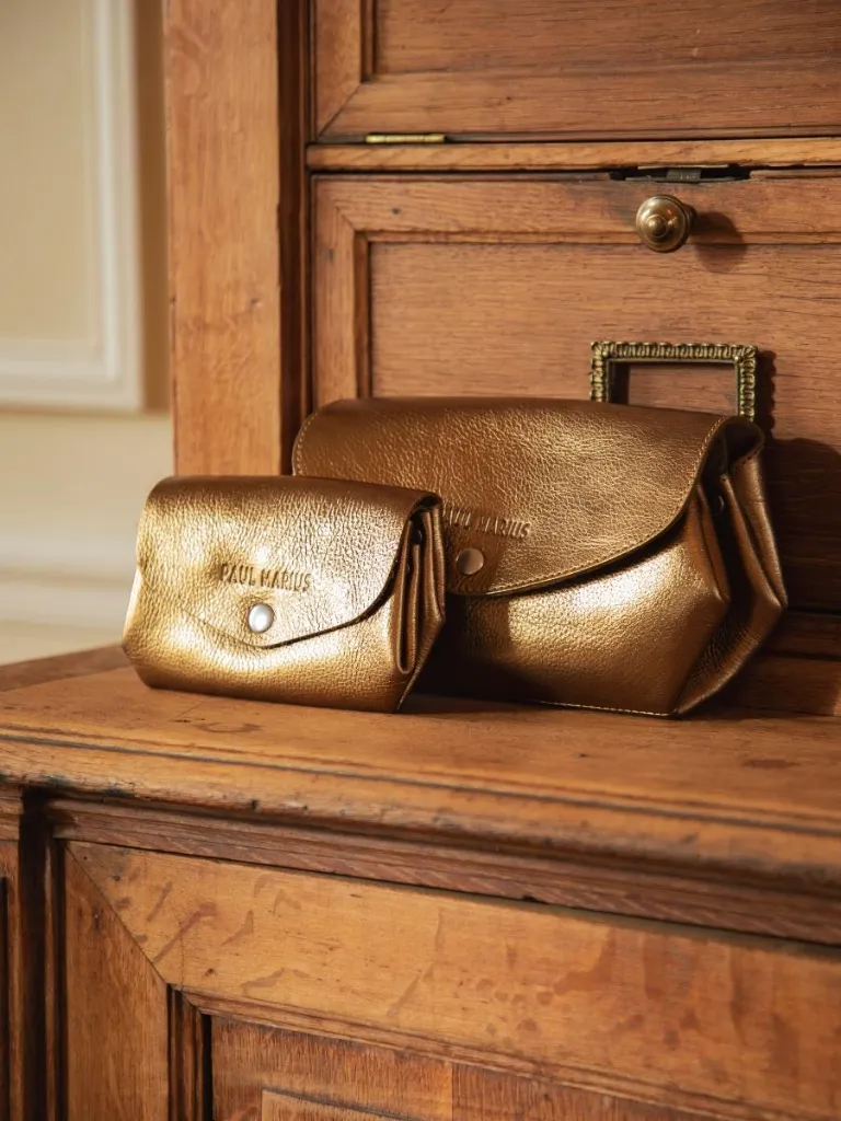 LEGUSTAVE_POCHETTE___M_BRONZE_NATURE_MORTE_PAUL_MARIUS__2__a1dd.webp