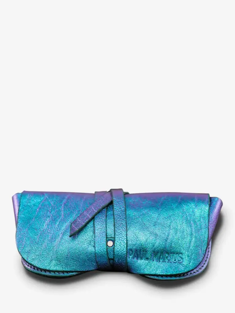 [M49 P-BLU] Etui à Lunettes - Scarabée